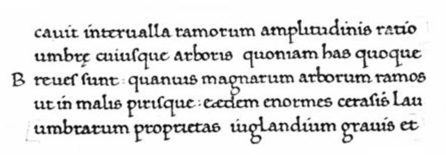 Escritura Humanística Redonda (Siglo XIV)