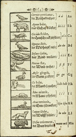 Primeros medios de enseñanza