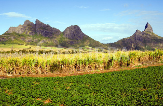 Mauritius