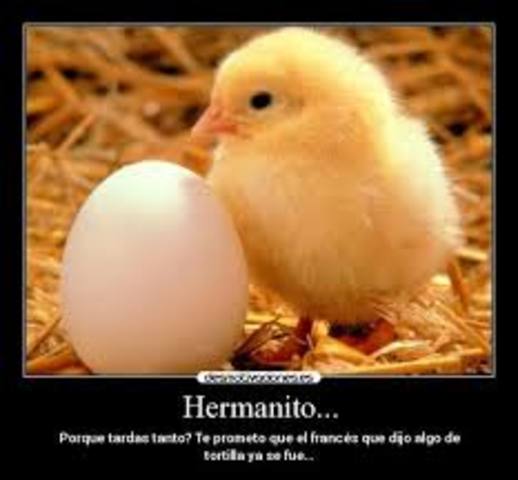 Nace mi hermanito :D