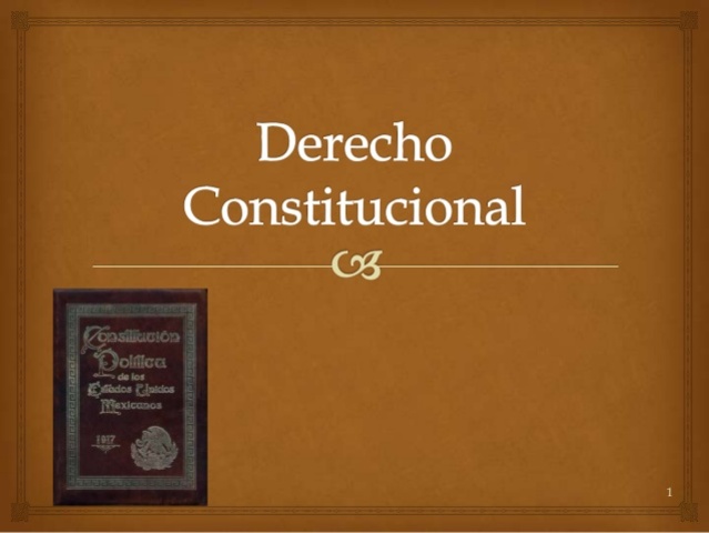 PROPICIO UN DERECHO CONSTITUCIONAL
