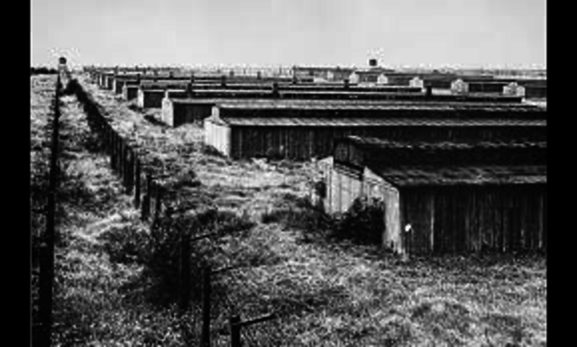 Majdanek camp