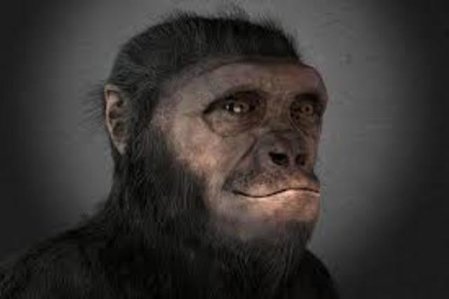 SAHELANTHROPUS TCHADENSIS