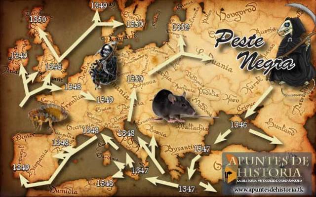 Brote de la Peste Negra