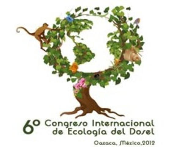6° CONGRESO INERNACIONA DE ECOLOGIA DEL DOSEL