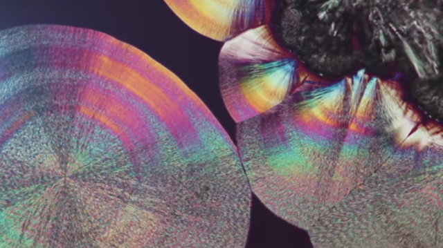 Yesayer: Glass of the microscope