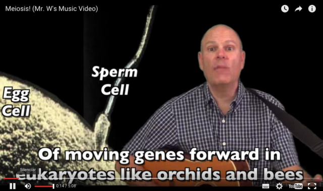 Videos musicales sobre biología