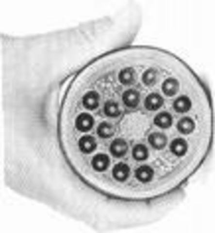 The First Transcontinental Telegraph Line Was Completed