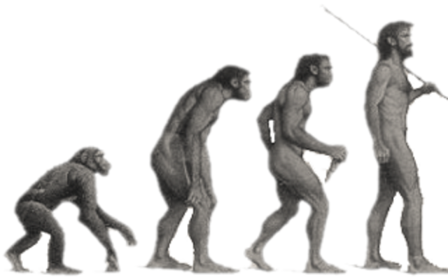 Evolución de una Idea