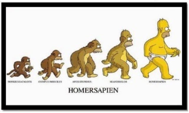 Etapas Históricas y Características