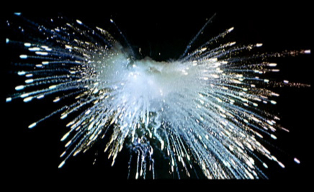 Deutsch Tag der Einheit