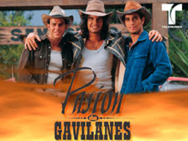 PASIÓN DE GAVILANES
