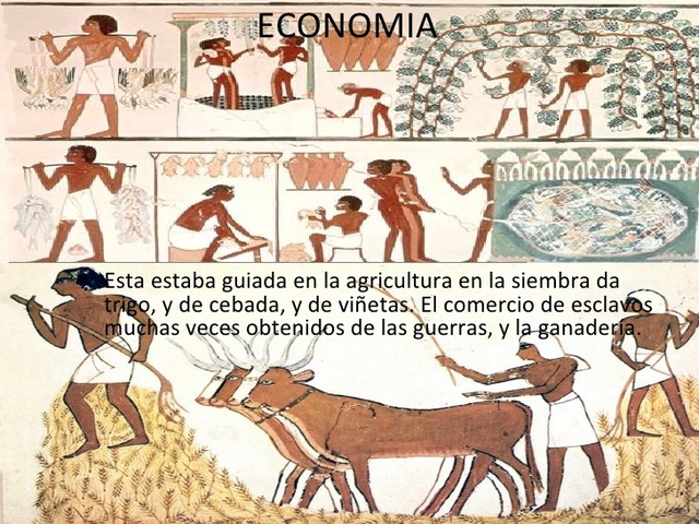Antecedentes Históricos.