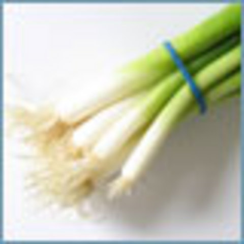 Shigella, California