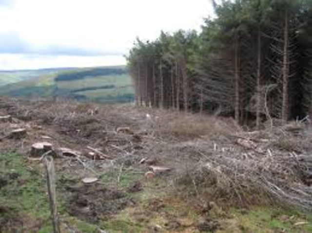 Government Builds New Houses