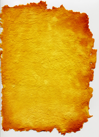 Paper  (every day items)