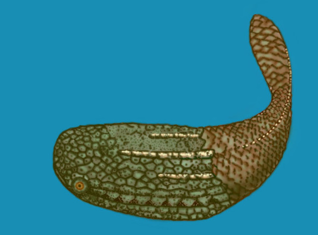 5:11PM The Paleozoic Begins