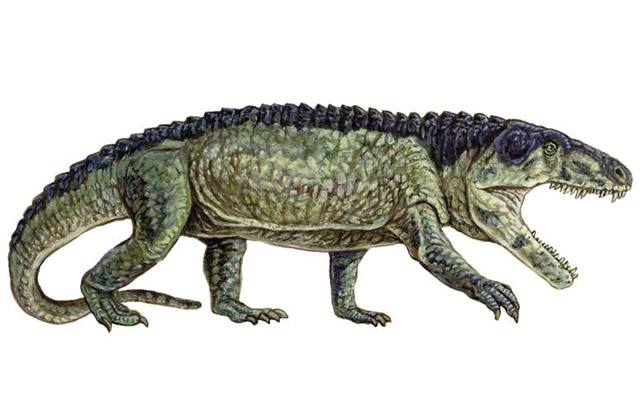 8:37PM First Dinosaurs