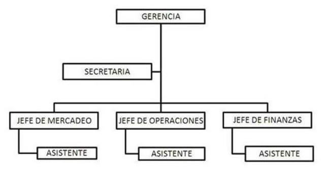 Organigrama - EEUU(Daniel Mc Callaum)