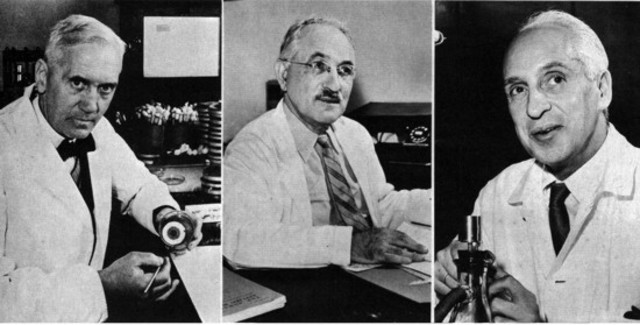 MEDICOS DEL SIGLO XX (EDAD ACTUAL)