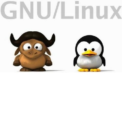 GNU/LINUX