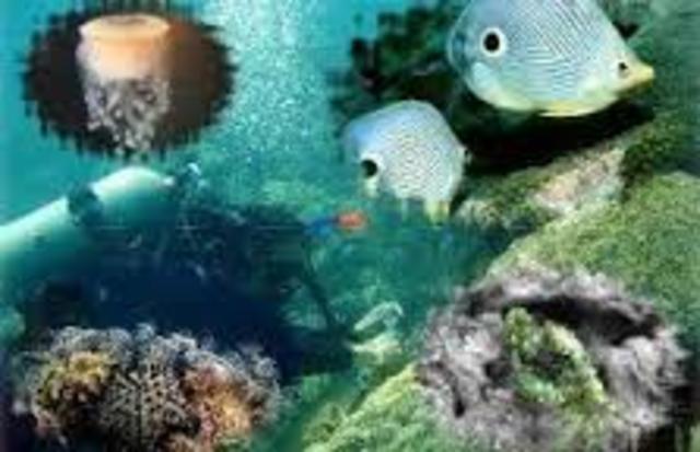 La ecología acuática