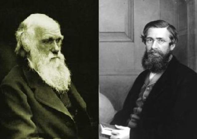 darwin y mathus