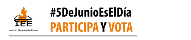 Instituto Estatal Electoral