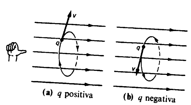 Jean Baptiste- Bioty Felix Savart
