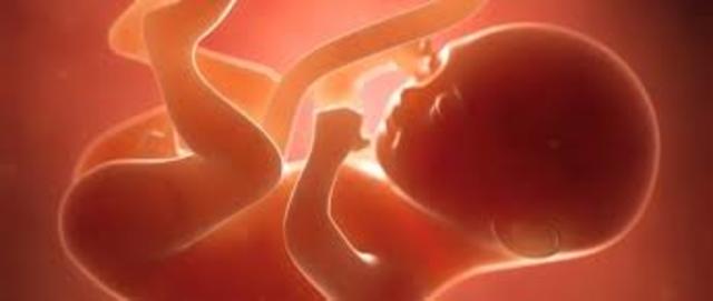 Alemanian abortatzearen legea aprobatua.