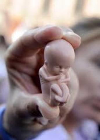 Abortzearen legea aktibatu Belgikan.