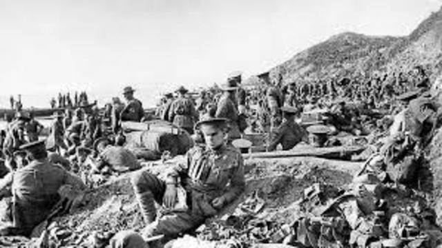 ANZAC troops land at Gallipoli