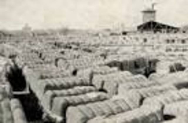 Over-Production in Cotton