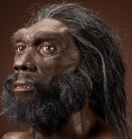 Homo heidelbergensis