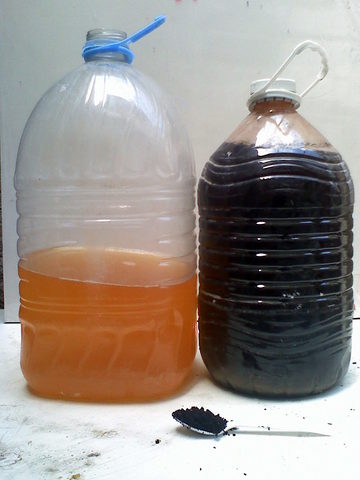 plástico hecha con orina de cerdo