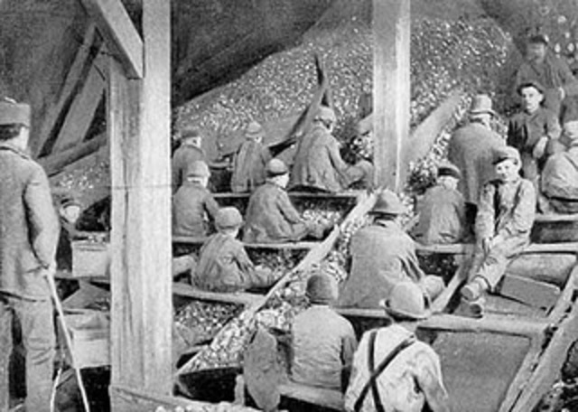 Anthracite Coal Mine Strike