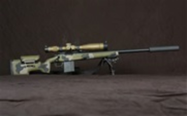 Sniper rifle to hunt and fight in battle