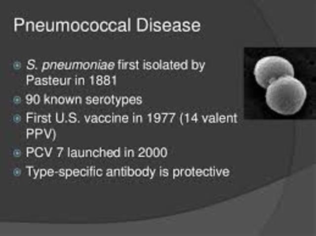 First Pneumococcal Vaccine