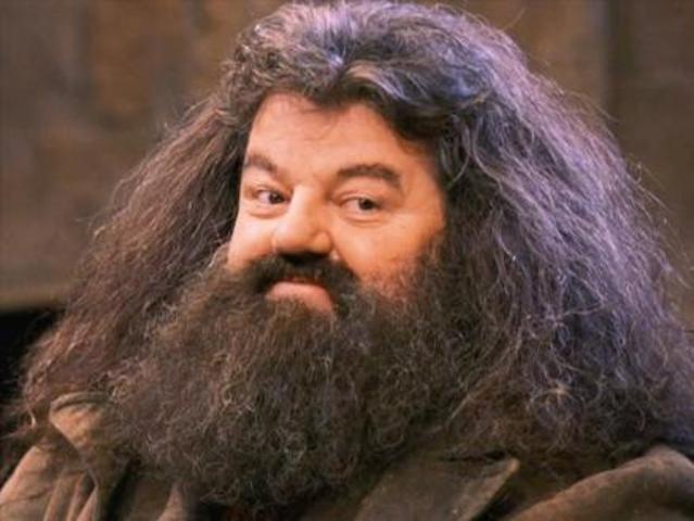 Harry se va con Hagrid