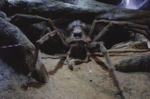 Harry y ron visitan a aragog en el bosque prohibido