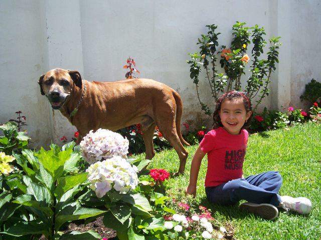 MURIÓ EL PERRITO DE MIS ABUELOS