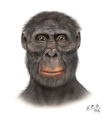 AUSTRALOPITHECUS AFRICANUS