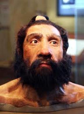 Homo Neanderthalensis