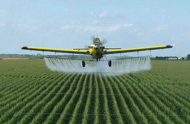 first use of insecticides on plants