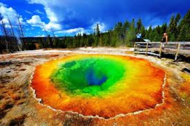 Yellowstone National Park  