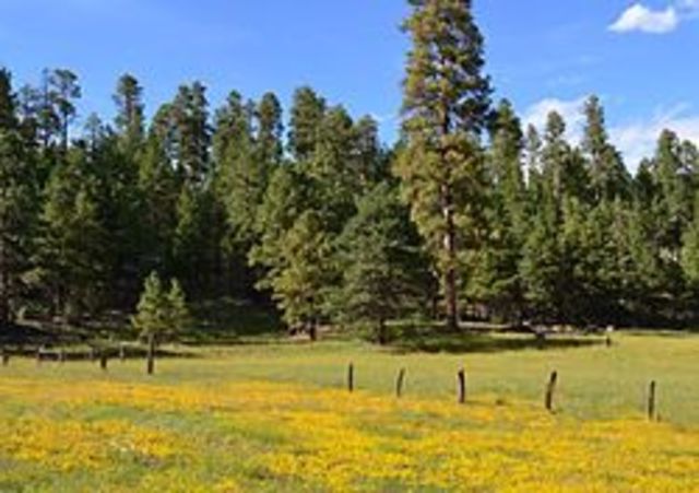 First Trip To The Mountains