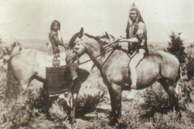 Horses were First Brought to America