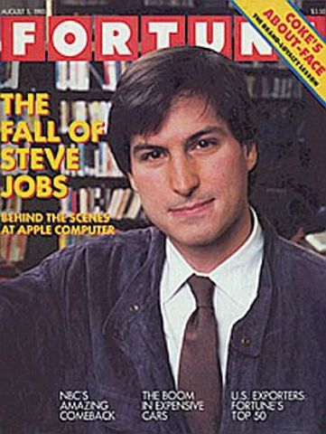 Steve Jobs Fall