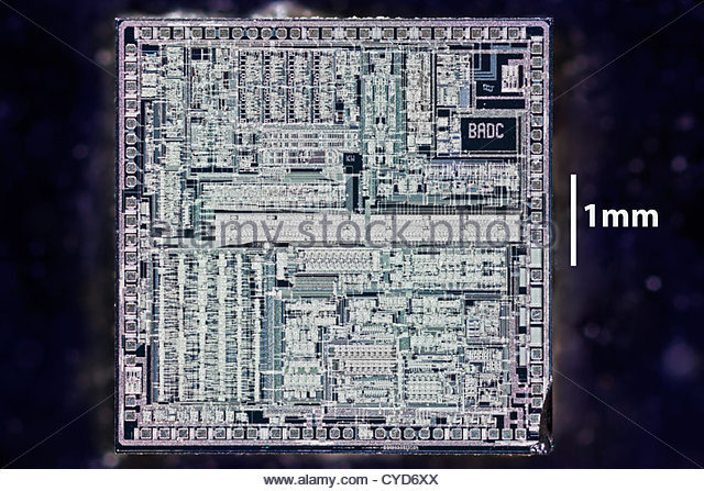 Computadoras con base en chips de silicón   (1960)