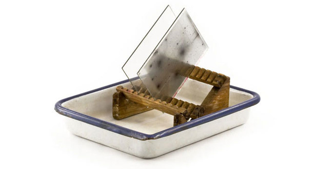 The photographic plate was invented